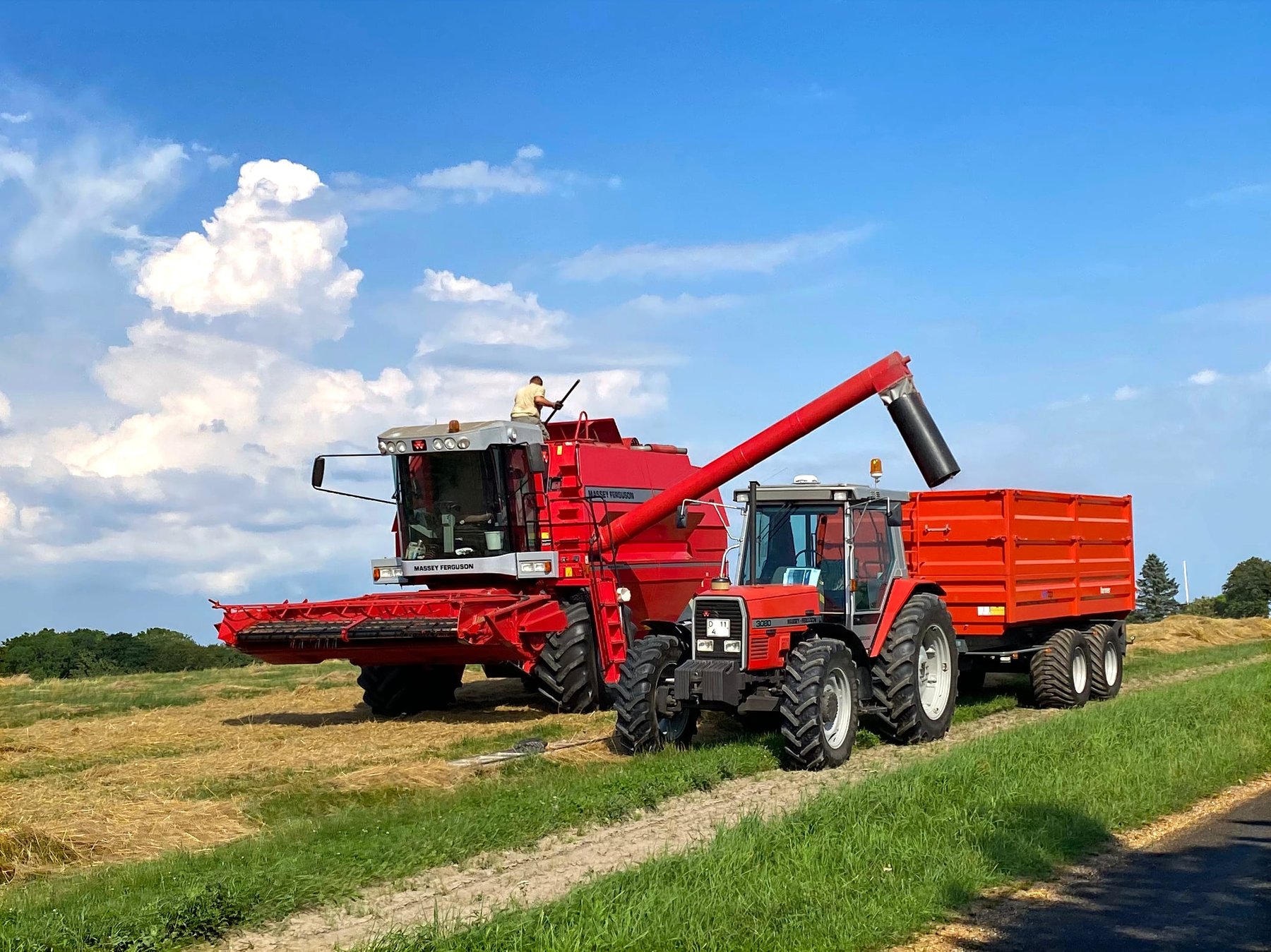 Harvester Massey Ferguson 38E combine