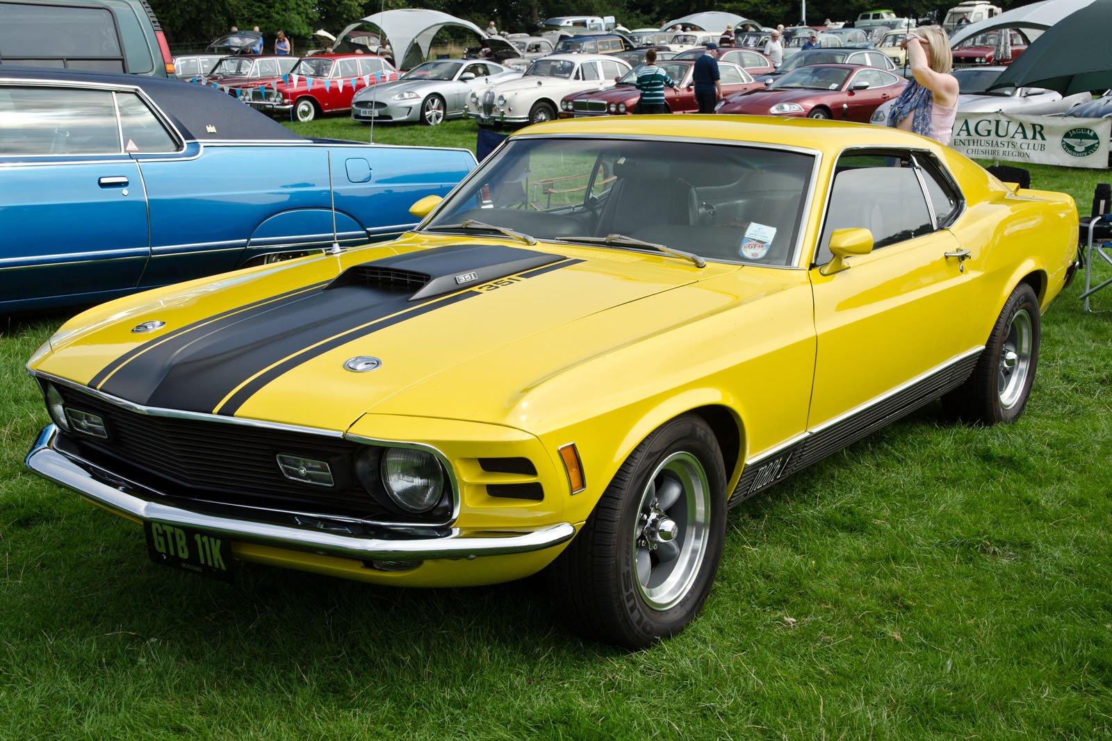 Mustang 6003