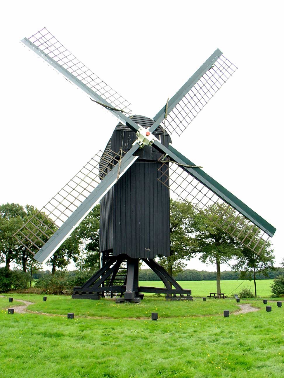 Ter Haar -