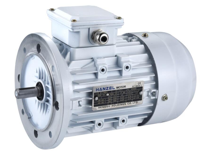 Electric motor Moto Technik MS1.1/B3/2