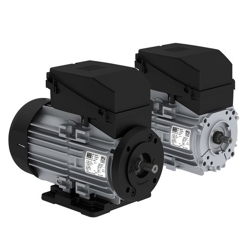 Electric motor WE 1A112M-6