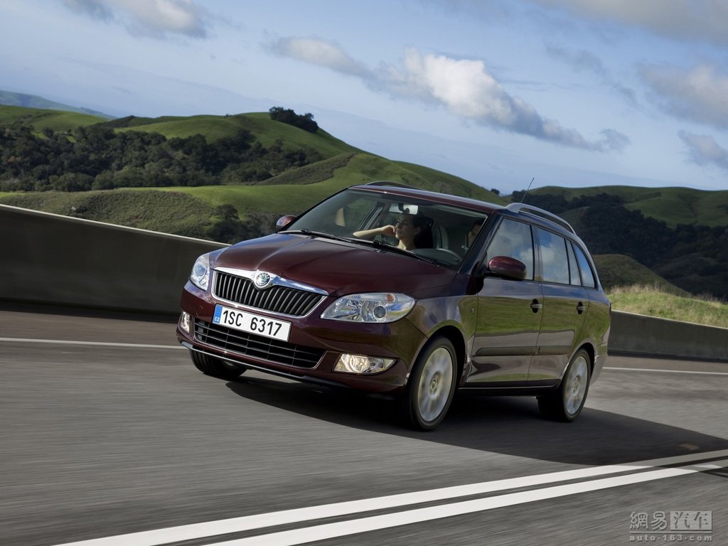 Transporter SKODA 5D FELICIA COMBI 1.9D LX-EHH653