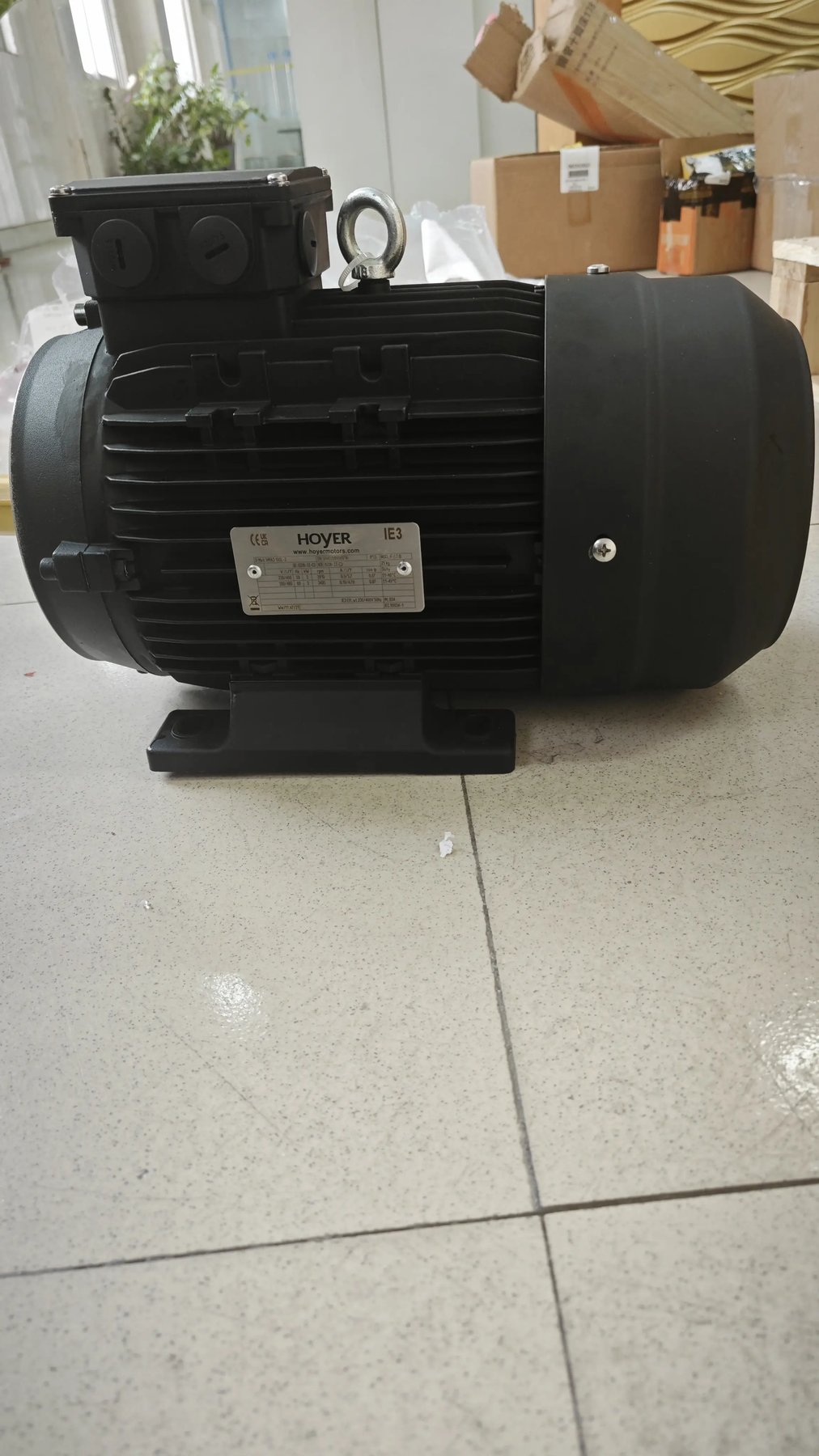 Electric motor Hoyer HMA3 100L2-4