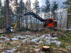 AFM Forest AFM65