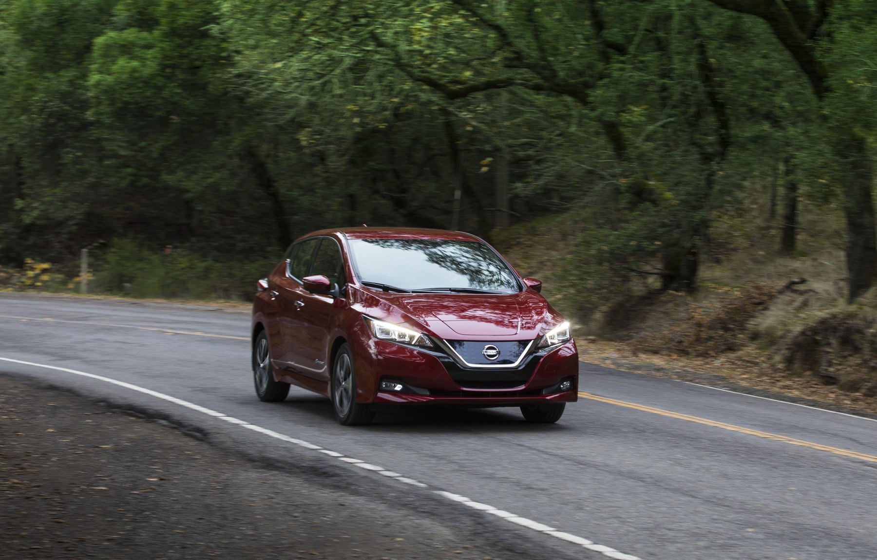 Transporter Nissan Nissan Leaf 40kWh