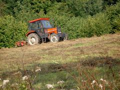 Ursus 3514