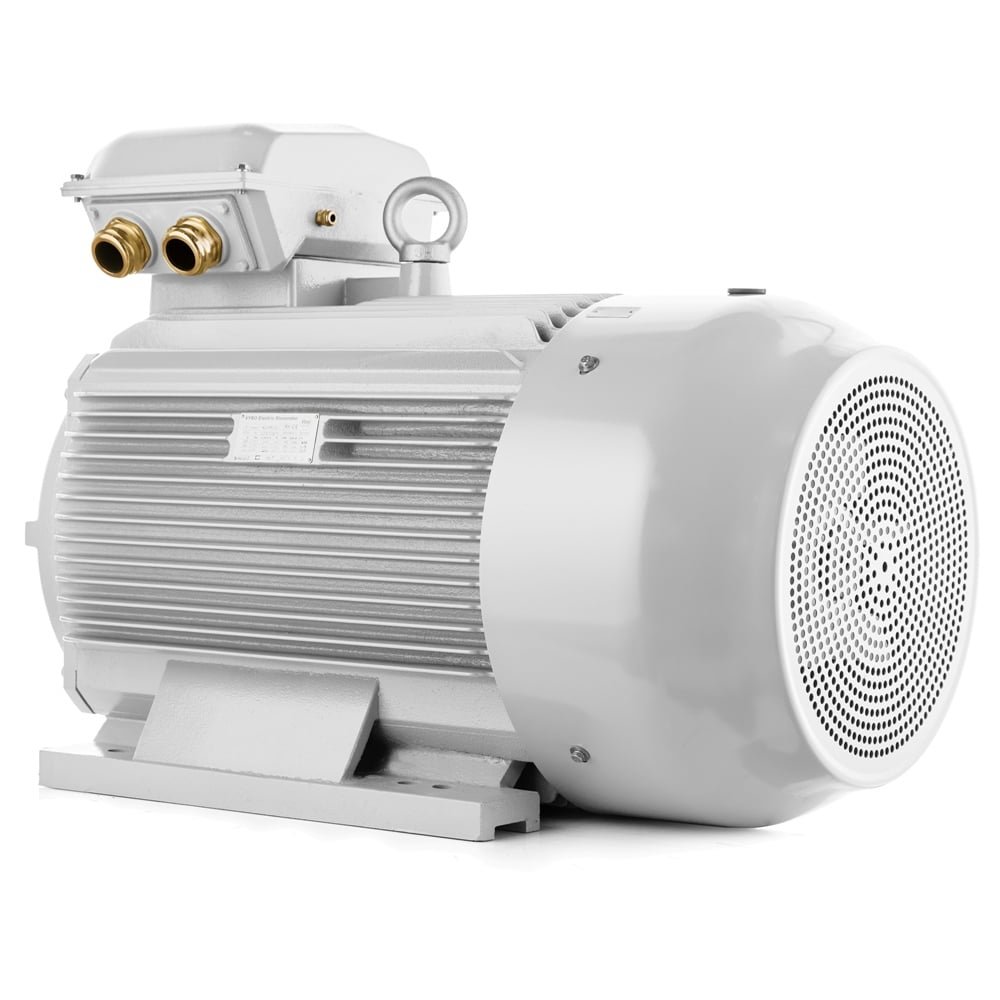 Electric motor Qin Wei Electric MAE1-200L-2P