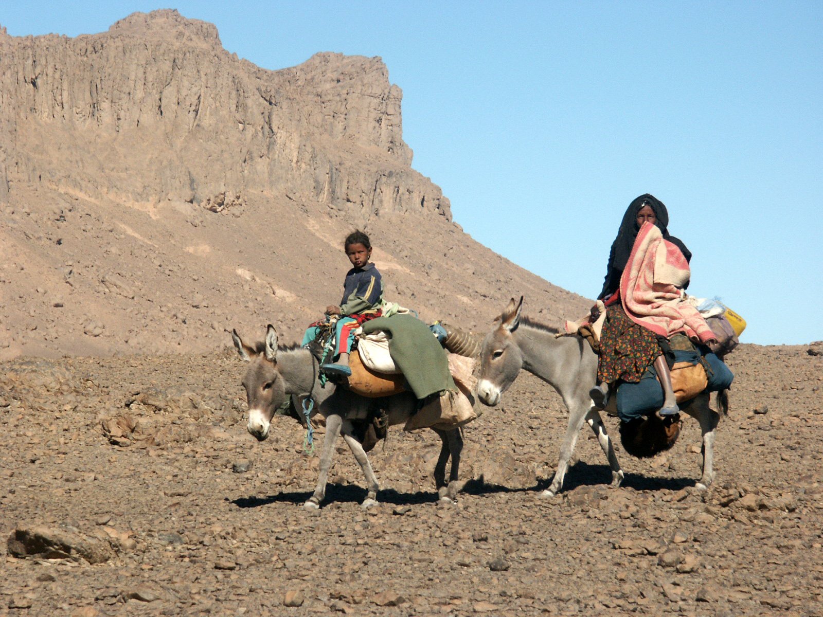 Nomad PICK UP