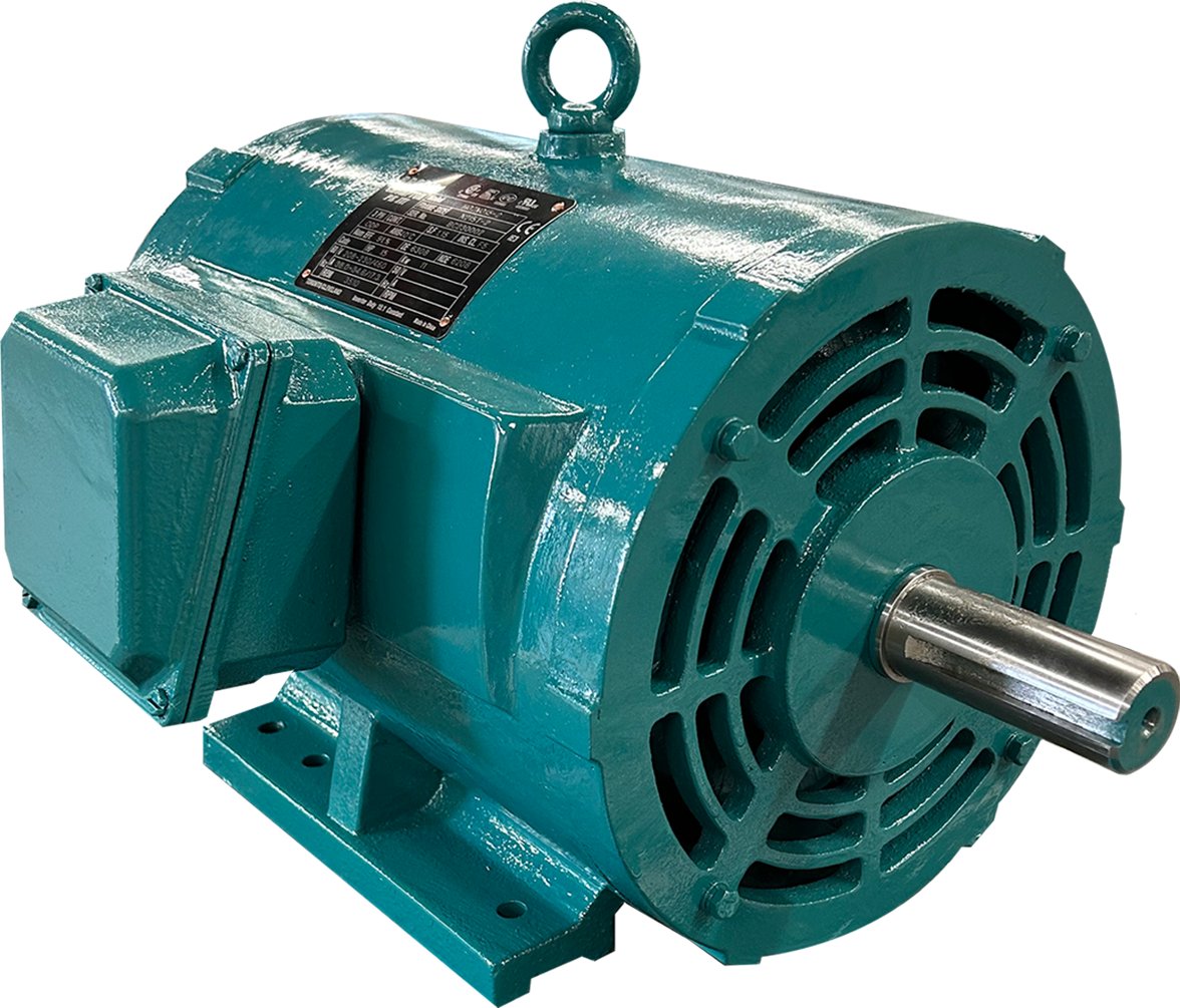 Electric motor Brook Crompton A-EF160L