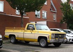 Chevrolet PICKUP C10 SILVERADO
