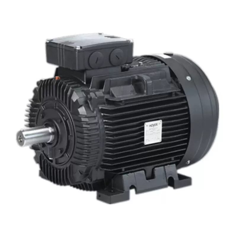 Electric motor Hoyer HMA2 112M2-4