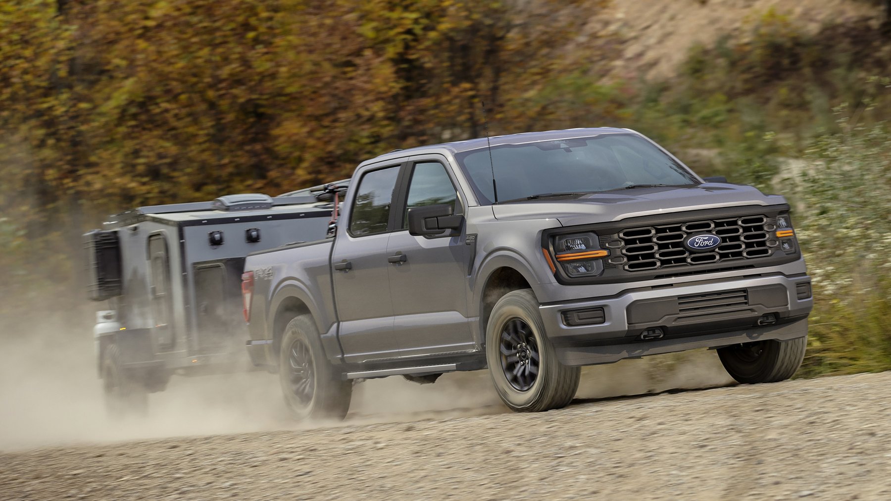 Truck Ford F 150 FX4