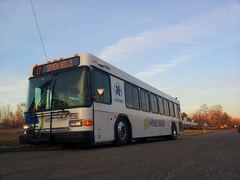 Gillig LOW FLOOR