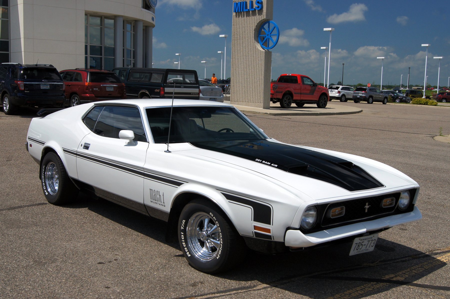 Trailer Mustang -
