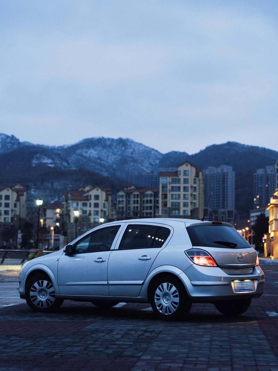 Van Opel ASTRA-H-VAN Z17DTH