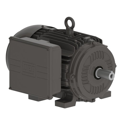 Electric motor WEG W21 K29/1TAC