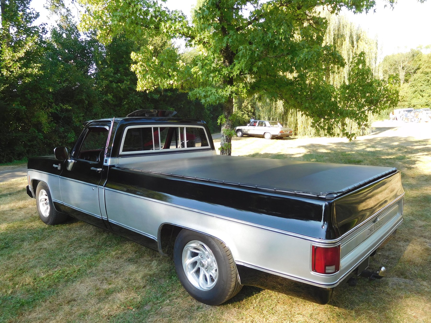 Van Chevrolet CHEYENNE PICK UP