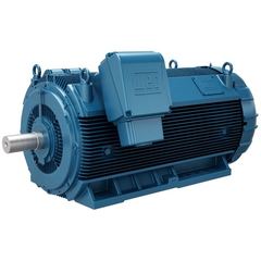 WEG K196 ALE2