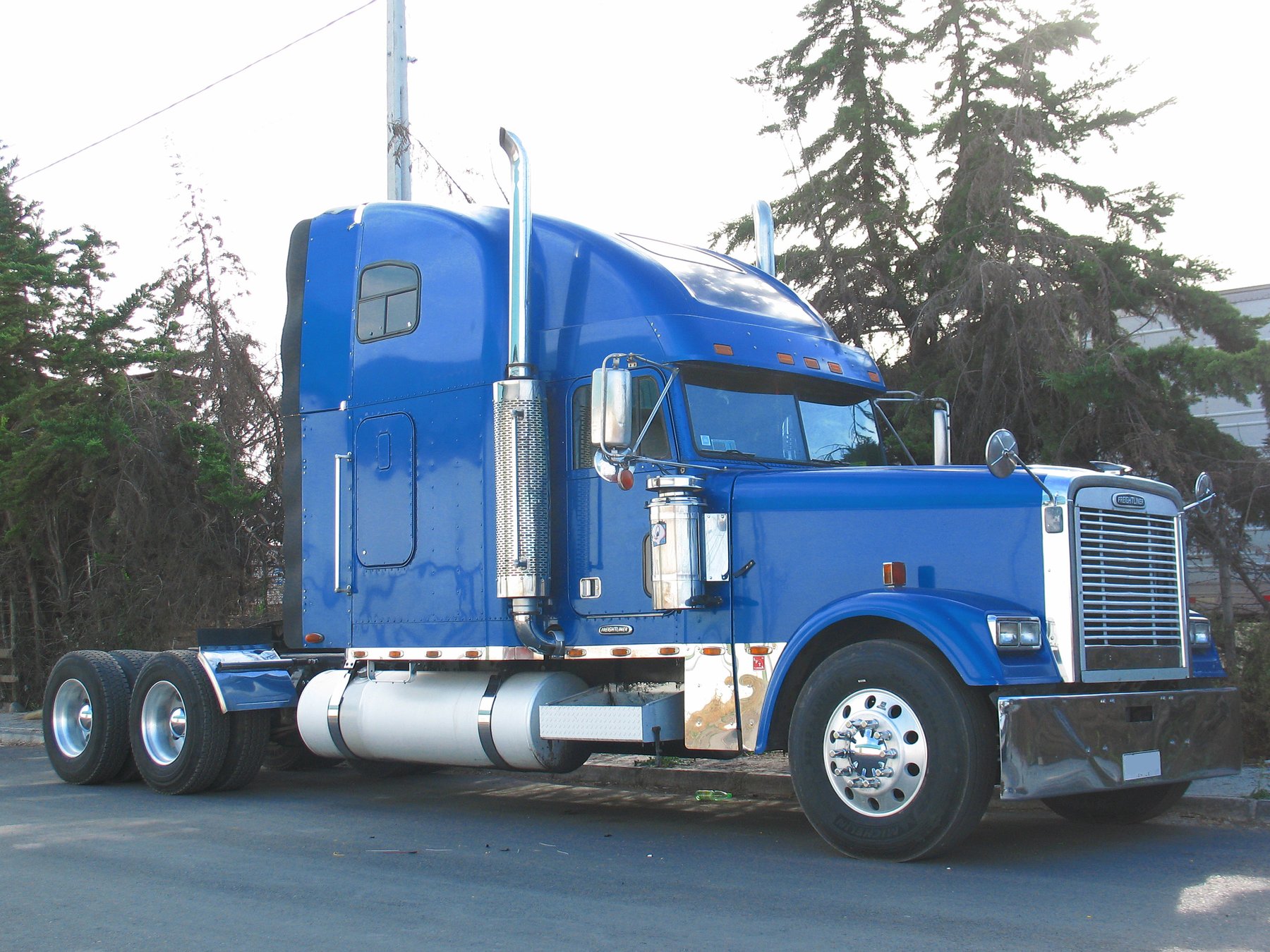 Samochód ciężarowy Freightliner FLD 132 CLASSIC XL