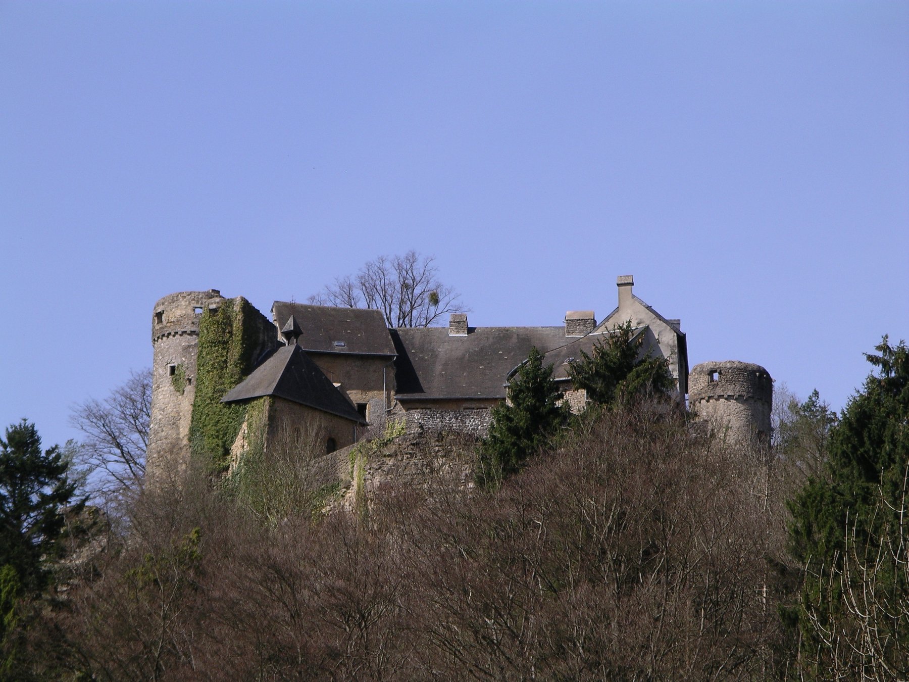 Burg BU