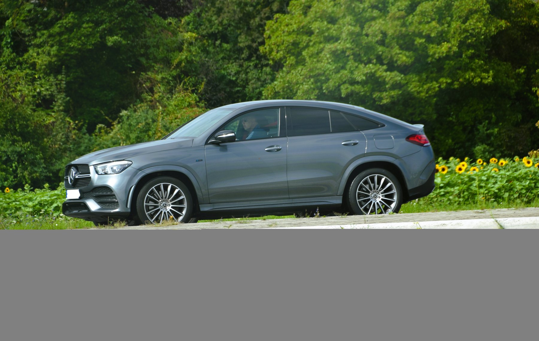 Van Mercedes Benz GLE 350 e 4MATIC