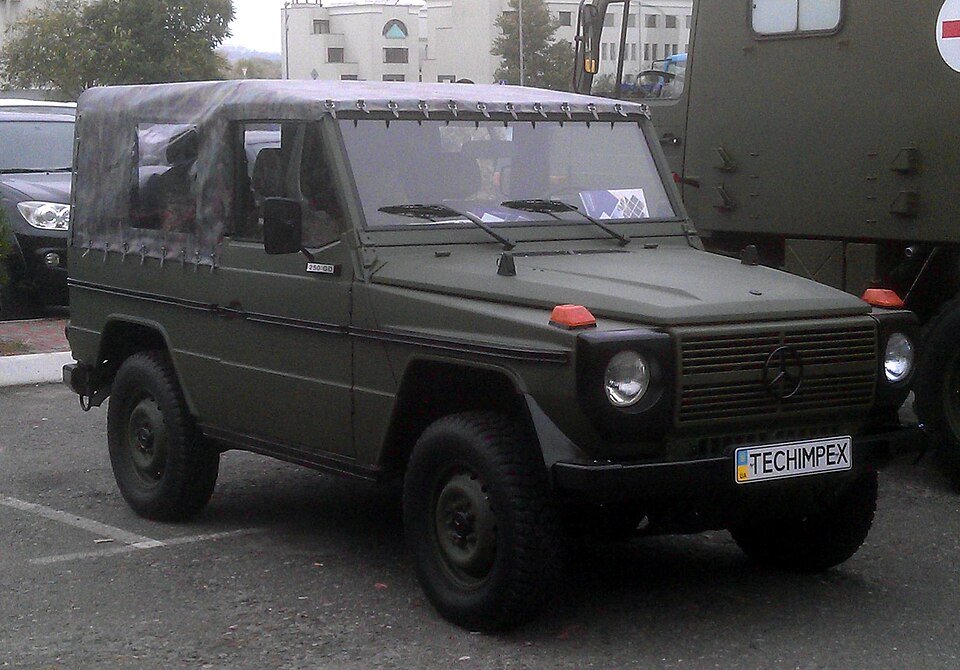 Van Mercedes Benz 250 GD 244
