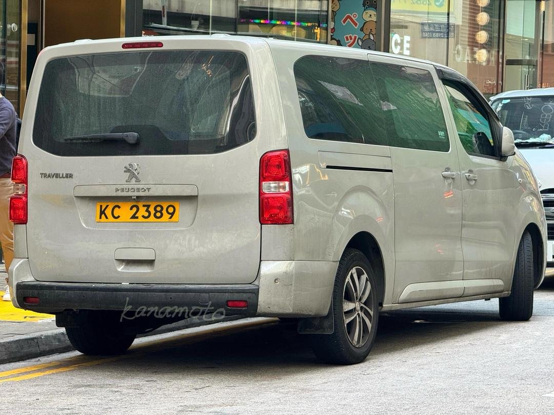 Van Peugeot 290 K 52