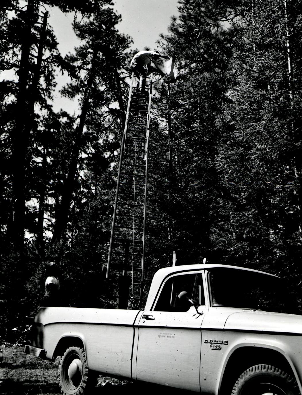Dodge LADDER