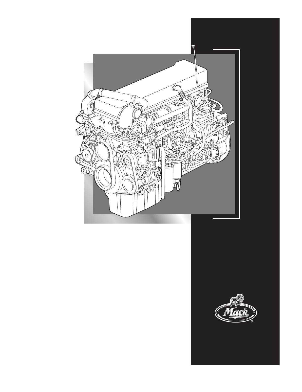 Heavy-Duty-Straßenmotoren VPT MP8 - 455M
