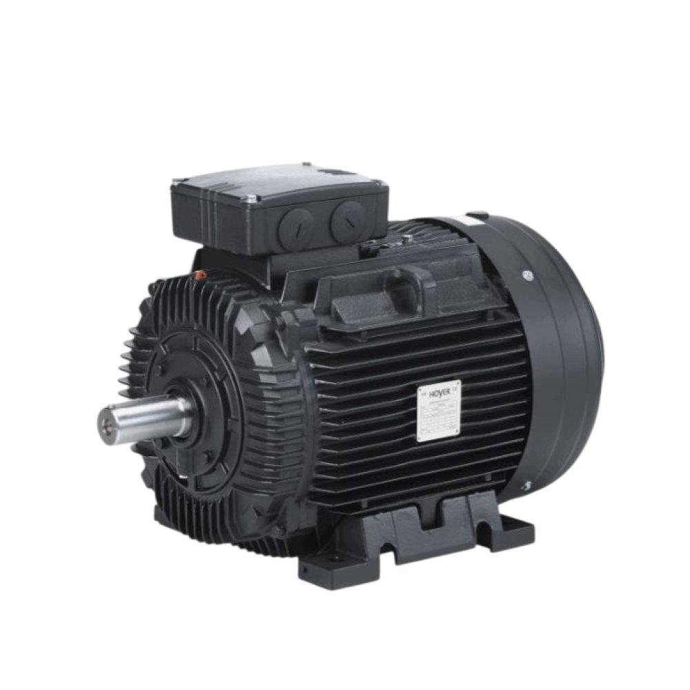 Electric motor Sanwei Y2160M2-2