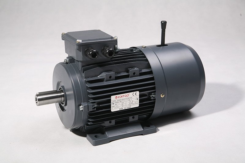 Electric motor Techtop TCP 315M-4