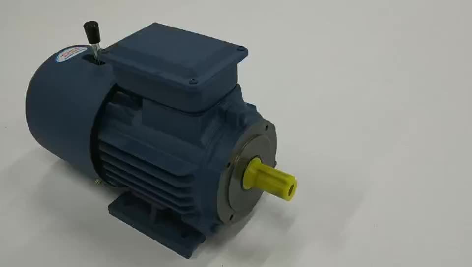 Electric motor Sanwei Y2112M2