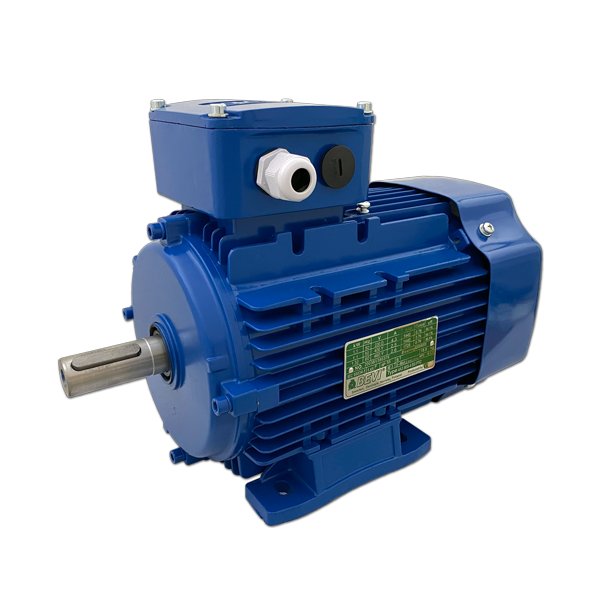 Elektromotor WE 1D100L2-4