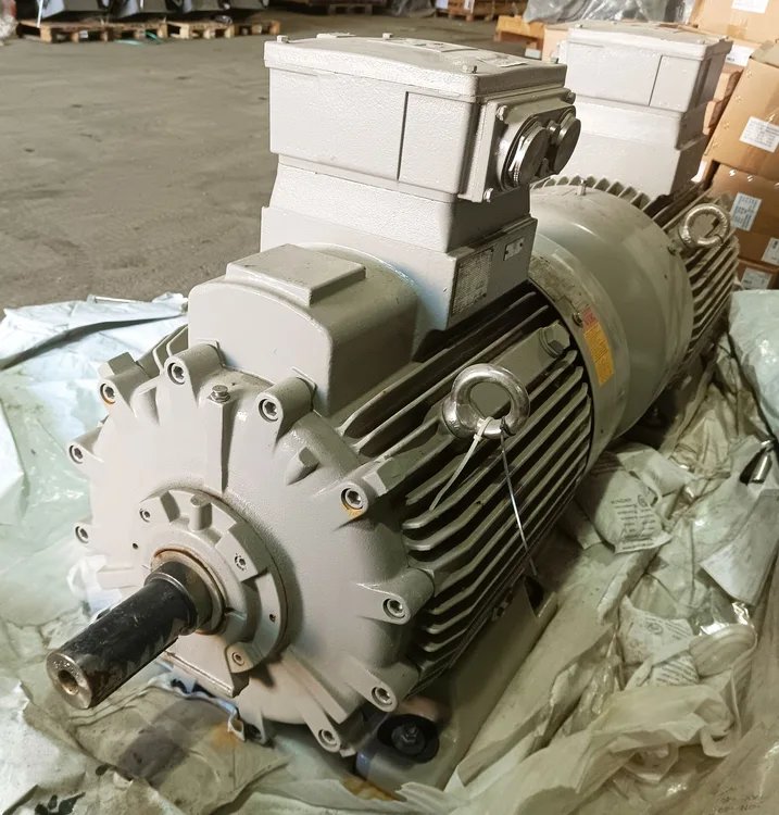 Electric motor Loher ANGK-160MS-02
