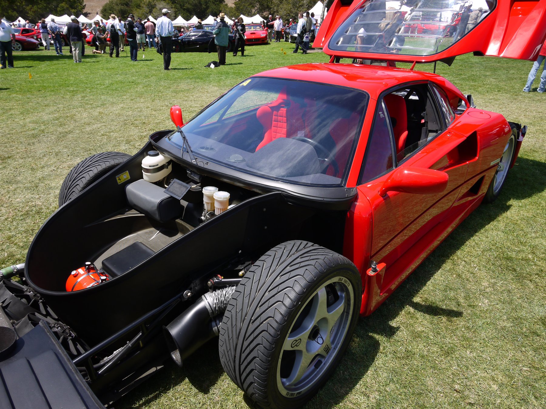 STENGER F50