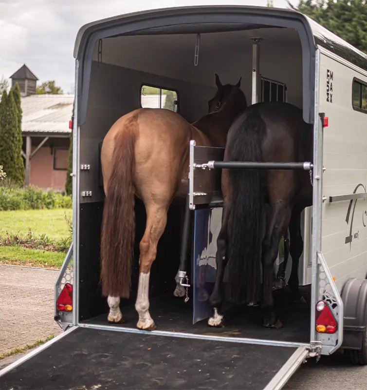 Cheval Liberte 16