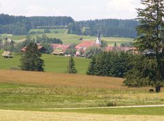 Sommer Z3