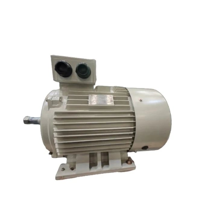 Electric motor RCG T022D8HRCG