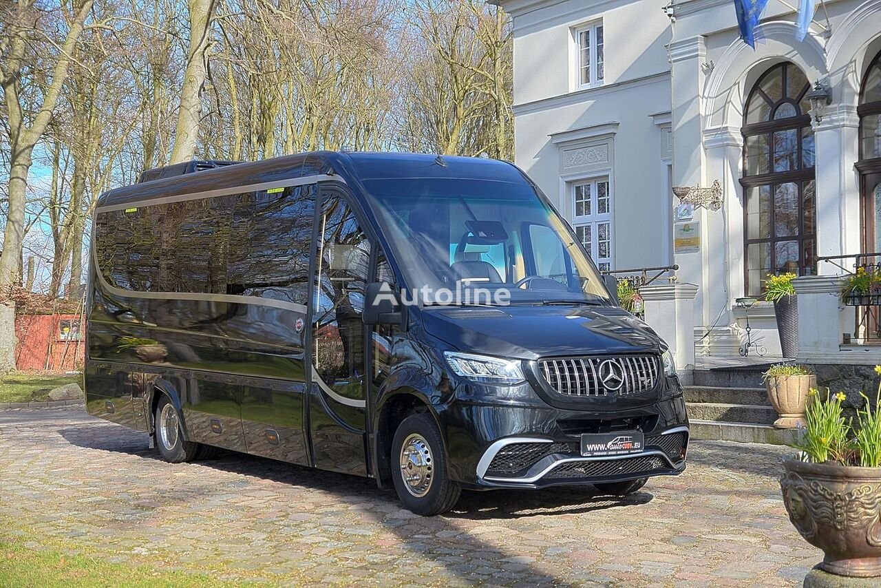 Truck Mercedes Benz 519 CDI