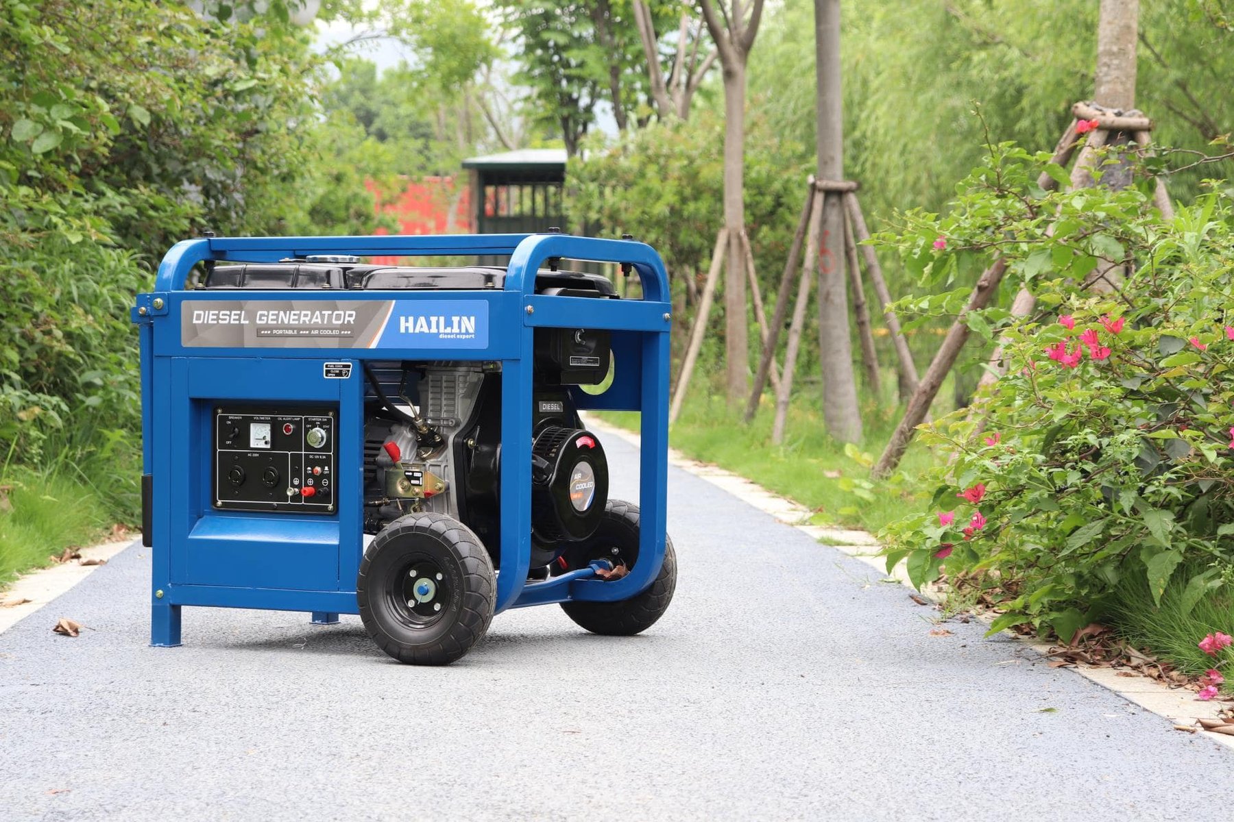 Diesel engine Hailin Power HL186FV