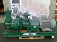Pioneer Pump 300 SH