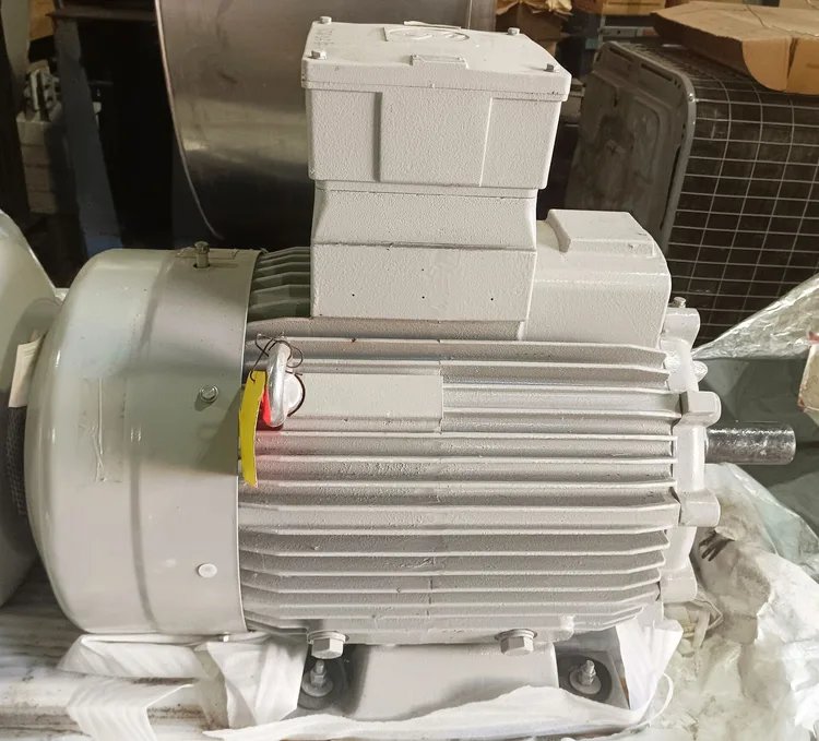Electric motor Loher ANGA-112MB-08