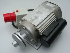 Davey Electric motors