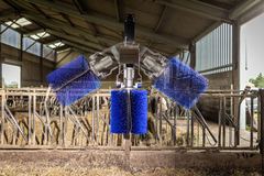 DeLaval Rinderbürste