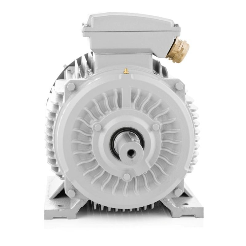 Electric motor Qin Wei Electric AEEF-200L-2
