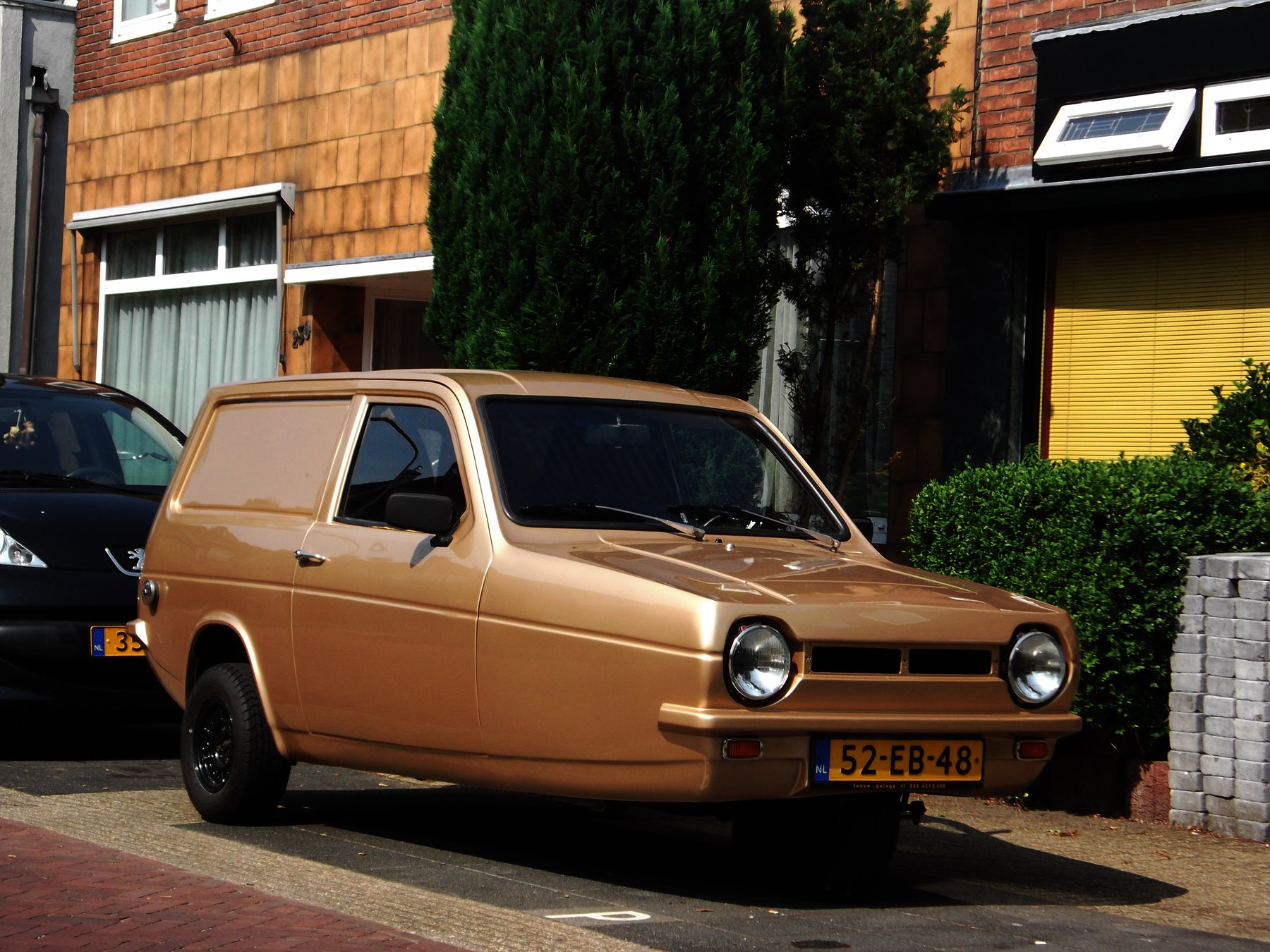 Van Reliant ROBIN 850 VAN