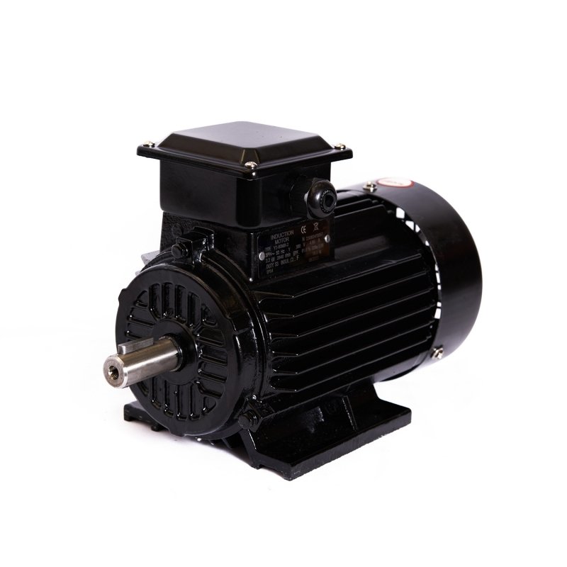Electric motor Remx YHIE2180L-55-4