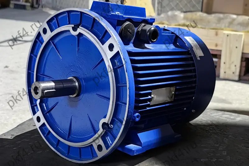 Electric motor EMT Y2-132S6