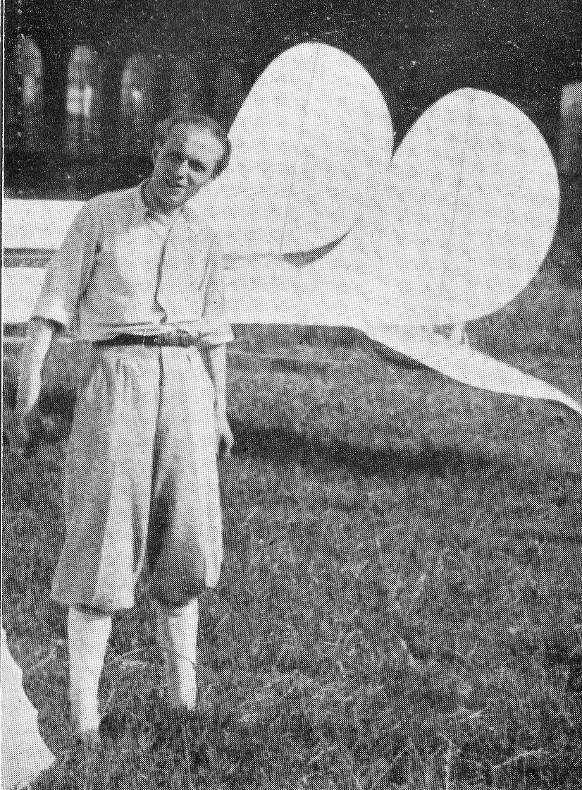 Cattaneo OTTO