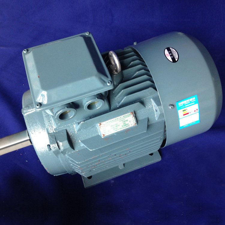 Electric motor Intem EG-315M-6